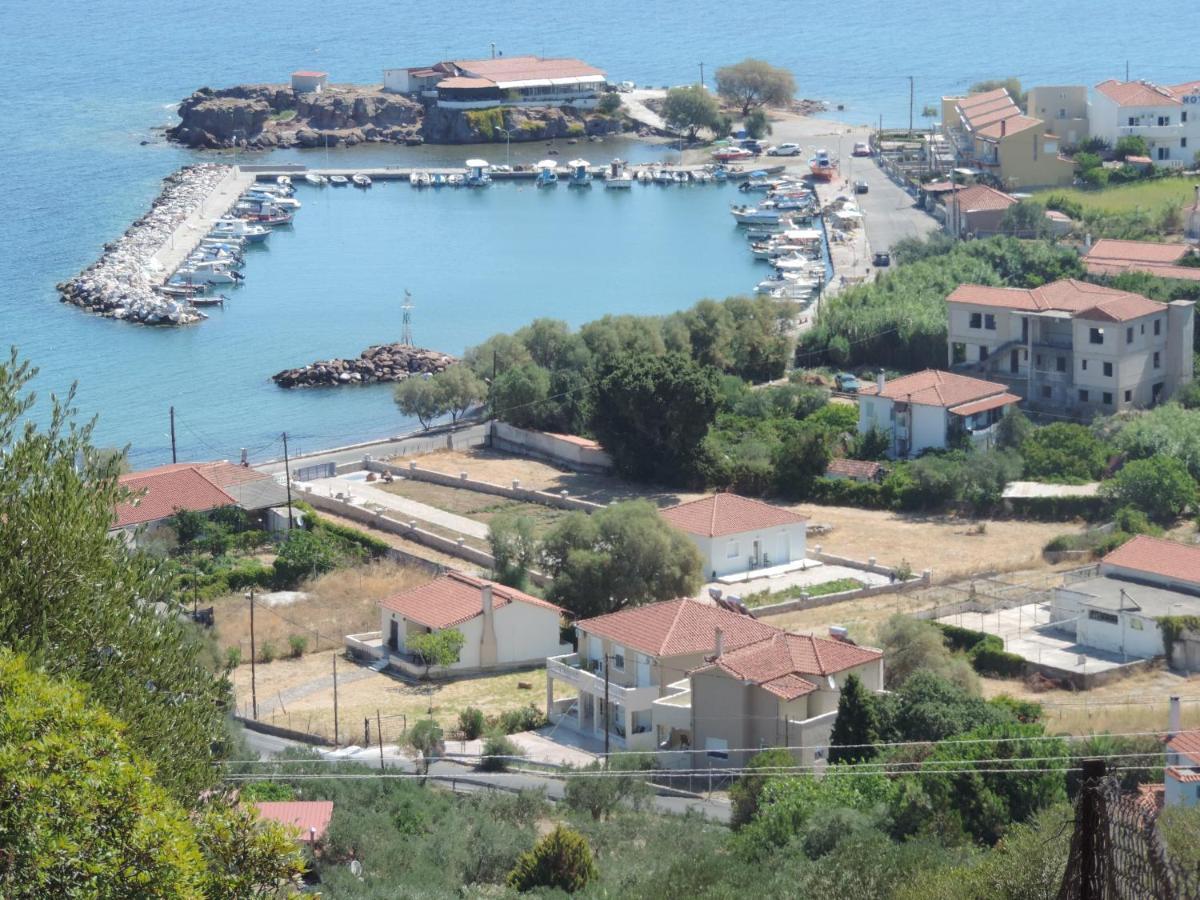 Skala Neon Kydonion Fotis Apartments מראה חיצוני תמונה